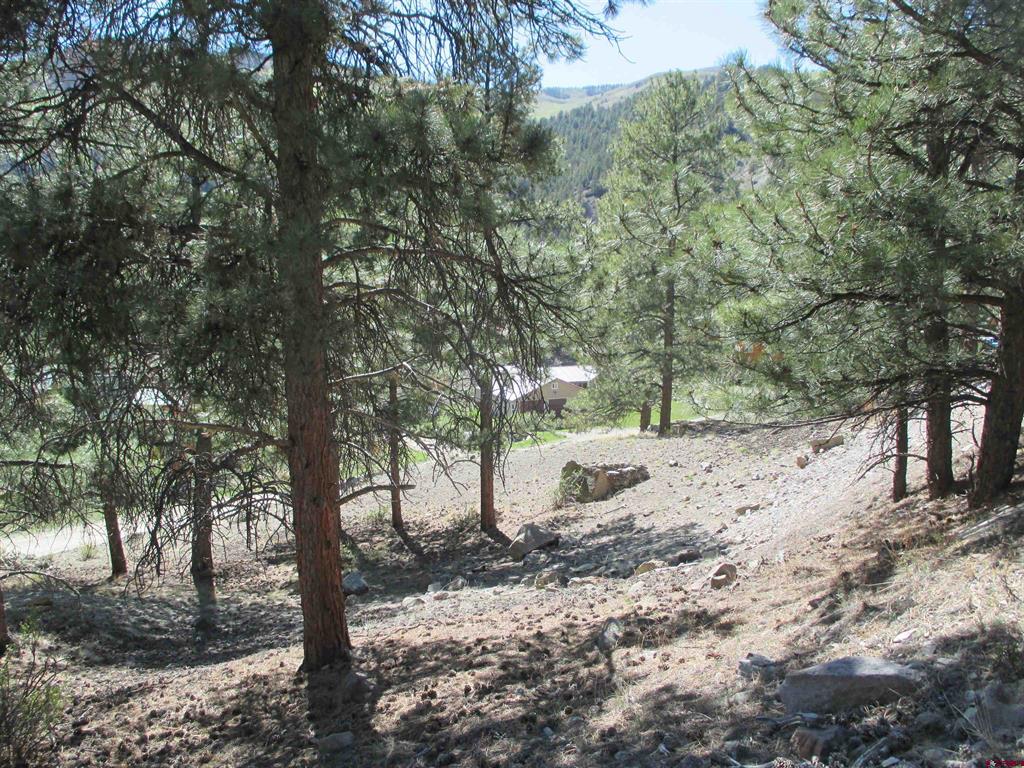 1070 Ocean Wave Drive Lake City CO 81235