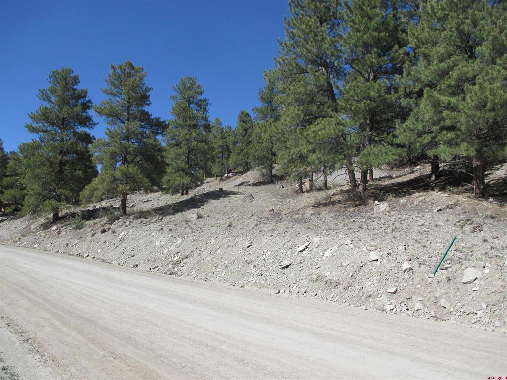 1070 Ocean Wave Drive Lake City CO 81235