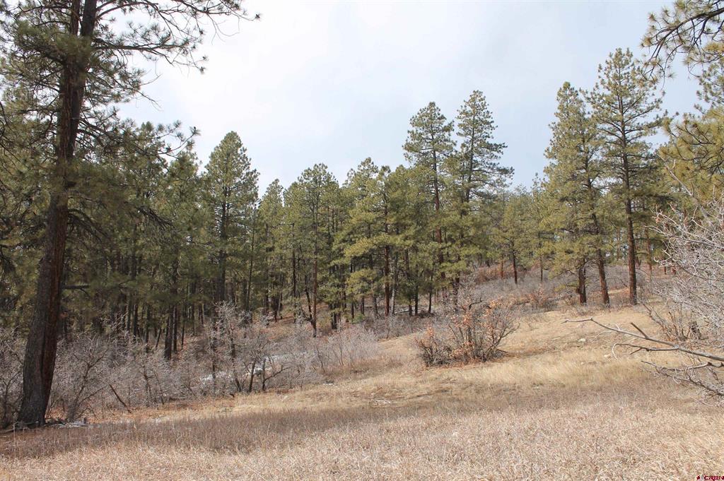 31861 E Highway 160 Bayfield CO 81122