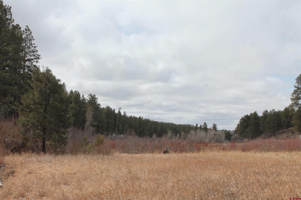 31861 E Highway 160 Bayfield CO 81122