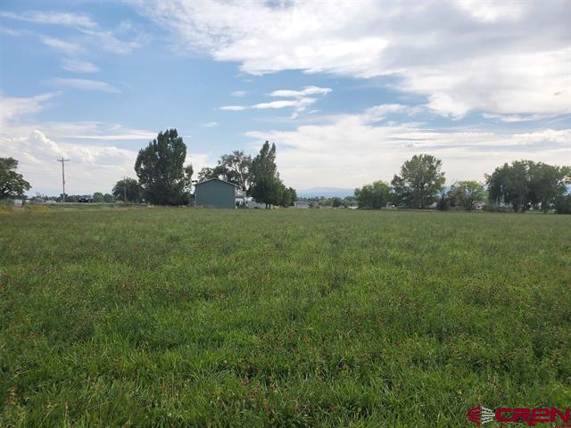 Lot 2 6600 Road Montrose CO 81401
