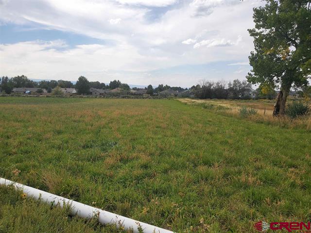Lot 2 6600 Road Montrose CO 81401