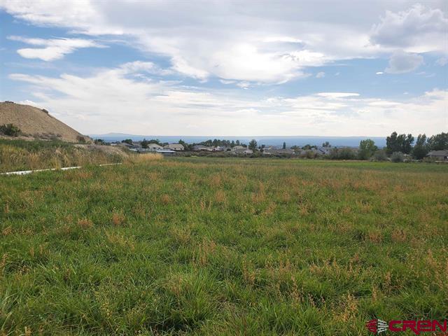 Lot 2 6600 Road Montrose CO 81401