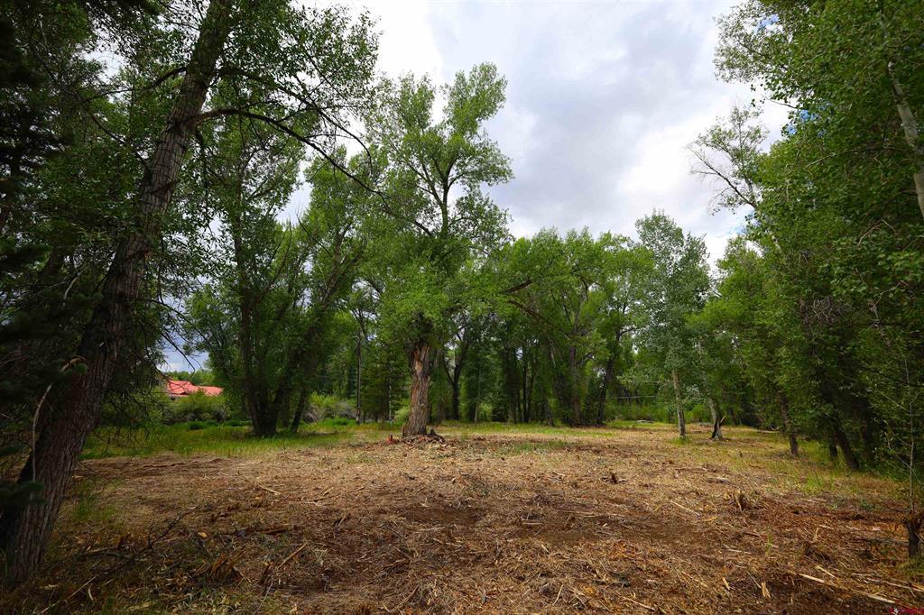 Tbd Rio Vista Road Gunnison CO 81230