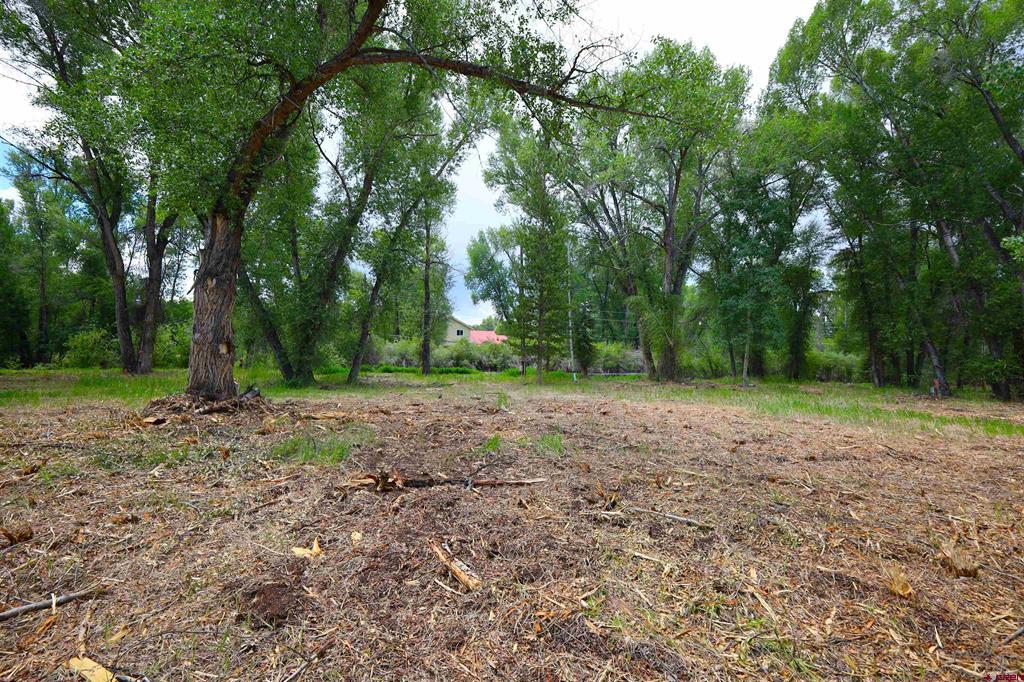 Tbd Rio Vista Road Gunnison CO 81230