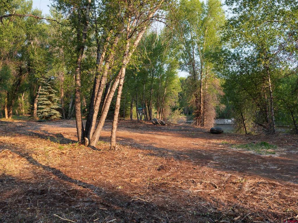Tbd Rio Vista Road Gunnison CO 81230