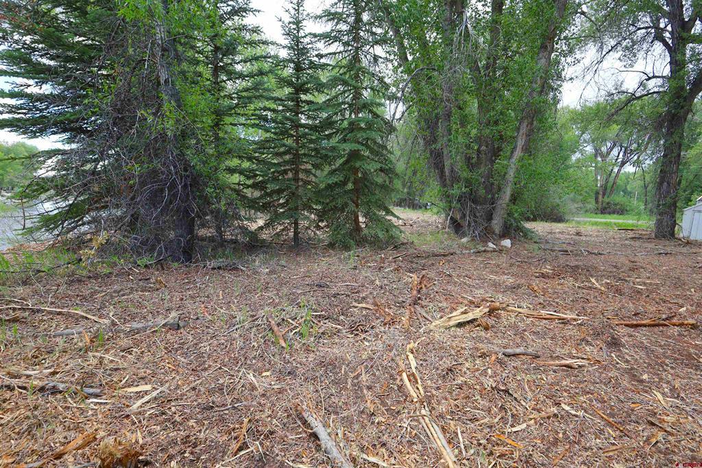 Tbd Rio Vista Road Gunnison CO 81230