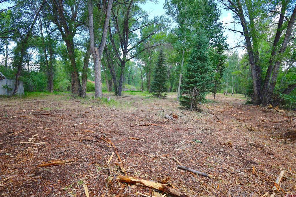 Tbd Rio Vista Road Gunnison CO 81230