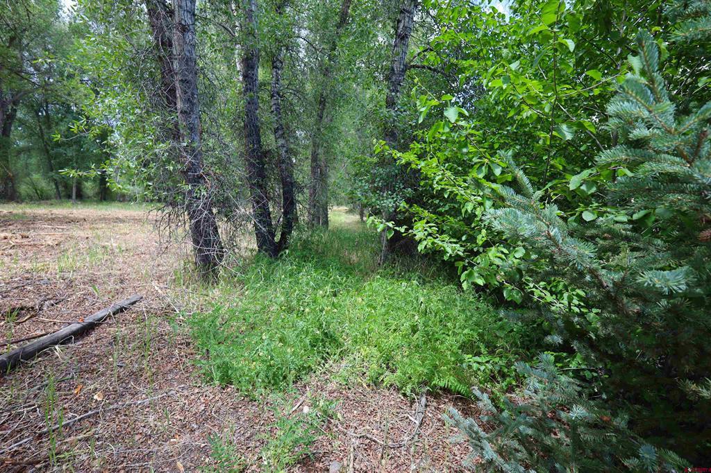 Tbd Rio Vista Road Gunnison CO 81230