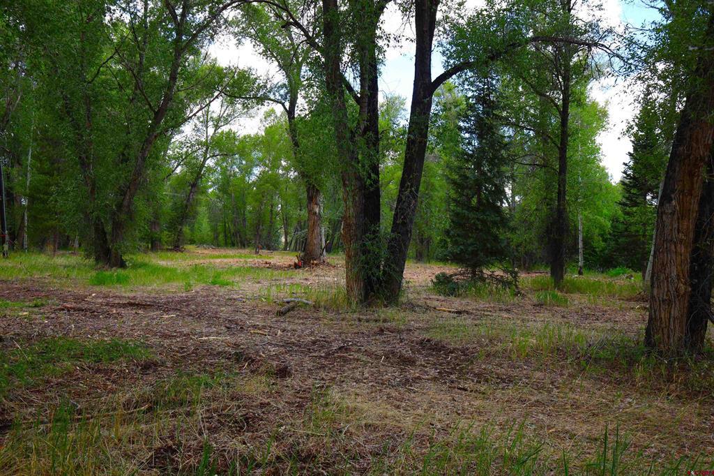 Tbd Rio Vista Road Gunnison CO 81230