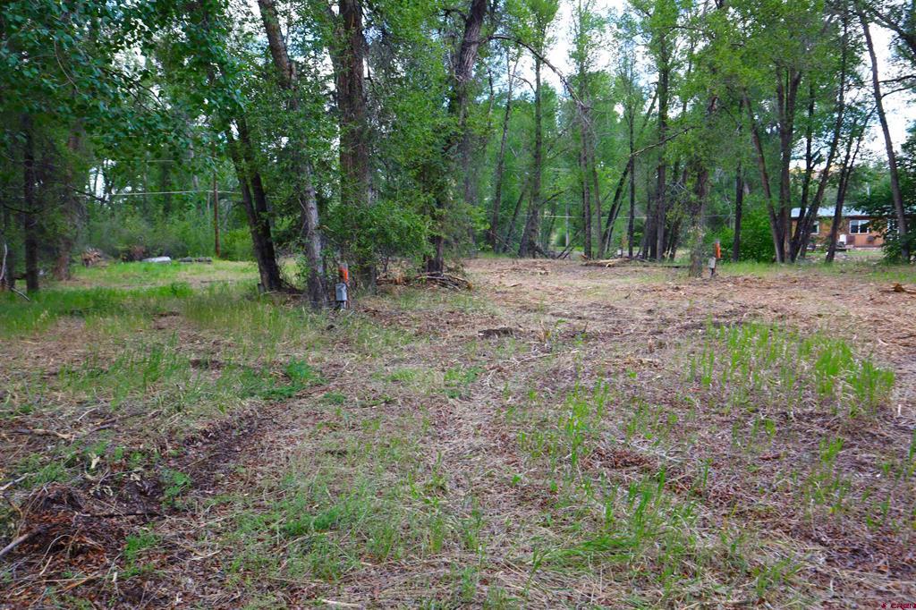 Tbd Rio Vista Road Gunnison CO 81230