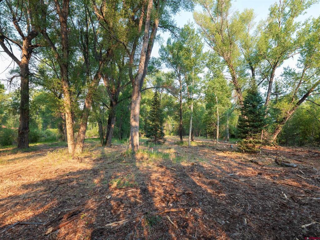 Tbd Rio Vista Road Gunnison CO 81230