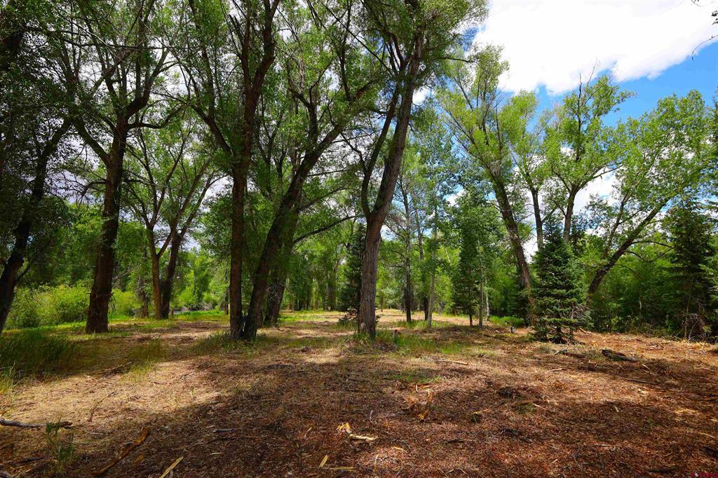 Tbd Rio Vista Road Gunnison CO 81230