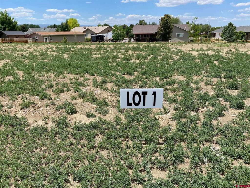 Lot 1 6700 Road Montrose CO 81401