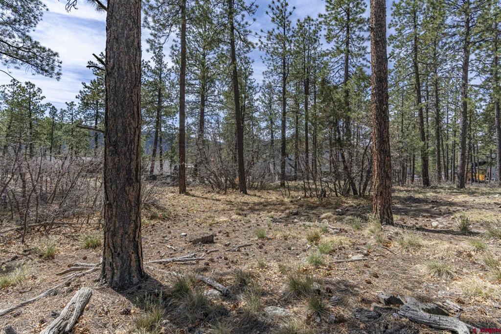 140 Cabin Creek Drive Durango CO 81301