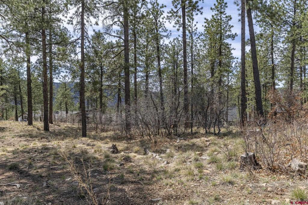 140 Cabin Creek Drive Durango CO 81301