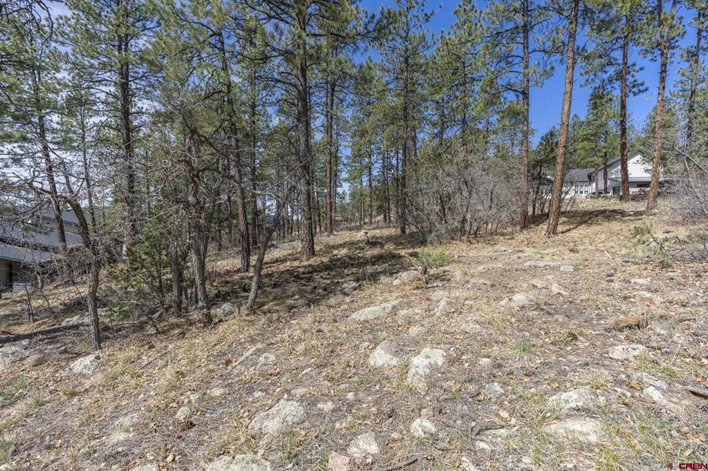 140 Cabin Creek Drive Durango CO 81301