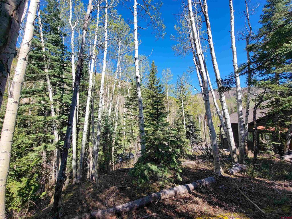 176 (lot 30) Engineer Drive Durango CO 81301