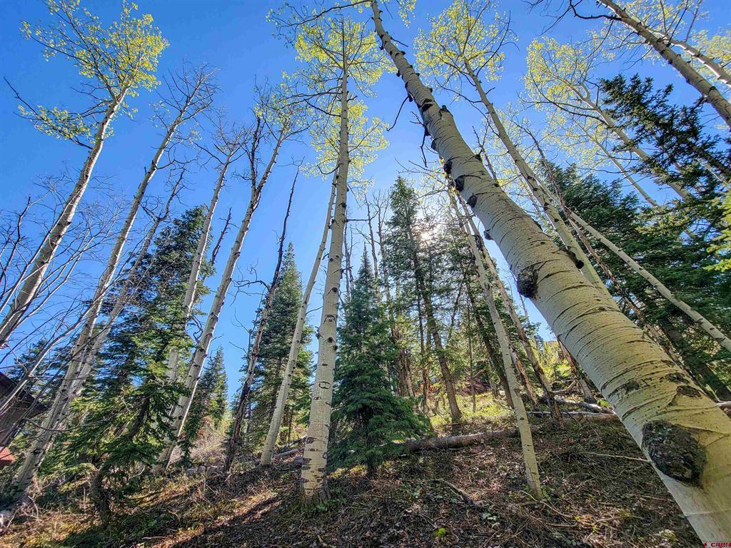176 (lot 30) Engineer Drive Durango CO 81301