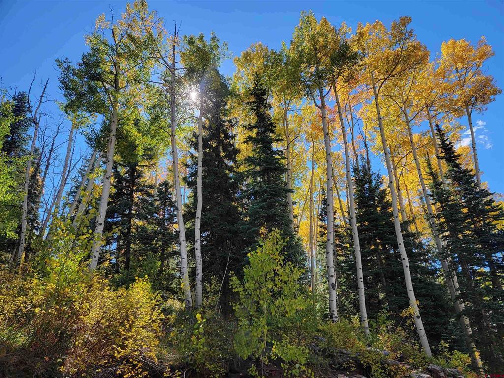 176 (lot 30) Engineer Drive Durango CO 81301