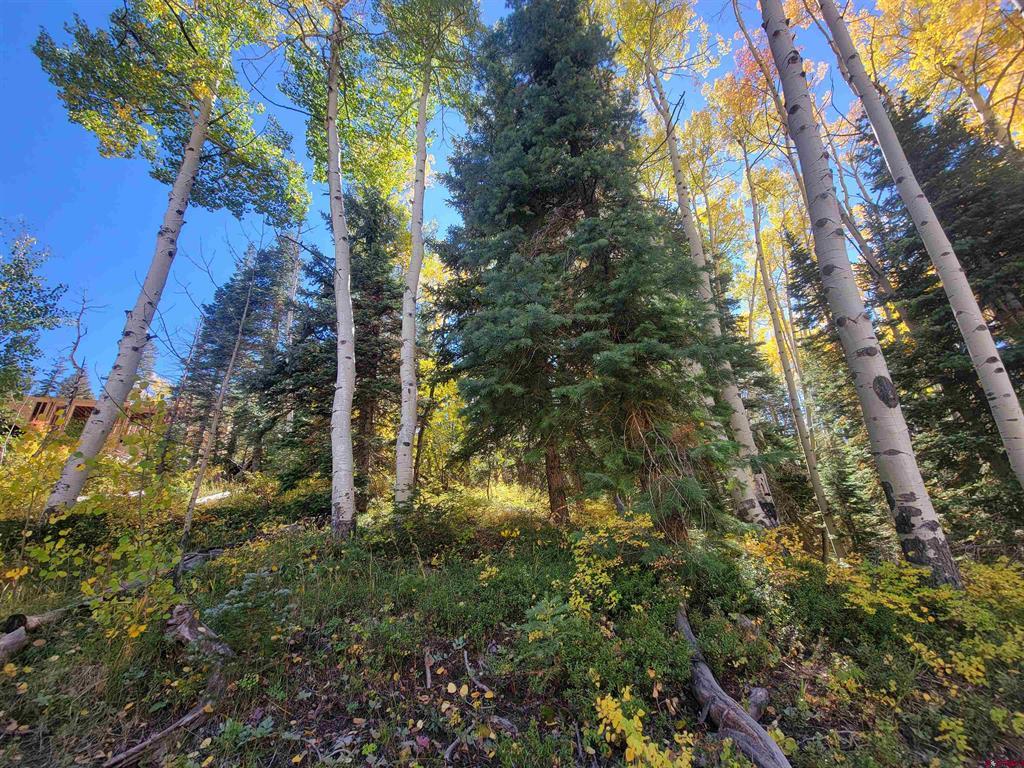 176 (lot 30) Engineer Drive Durango CO 81301