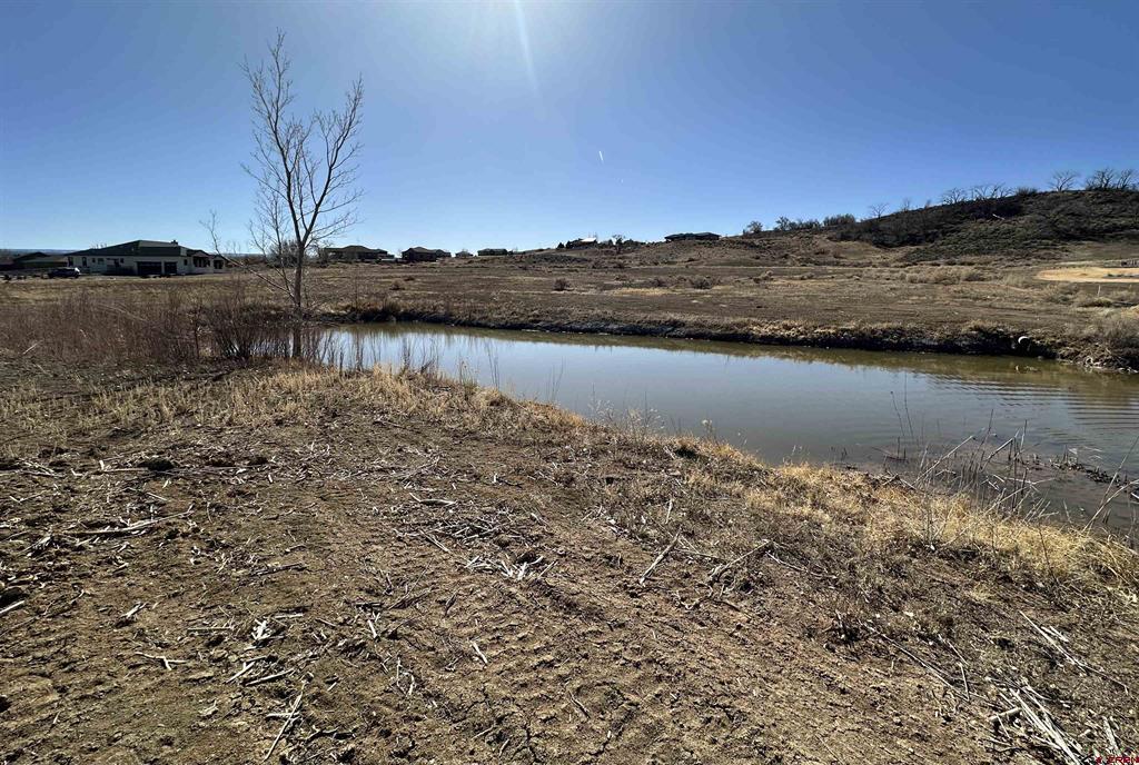 59440 Lone Eagle Road Montrose CO 81403