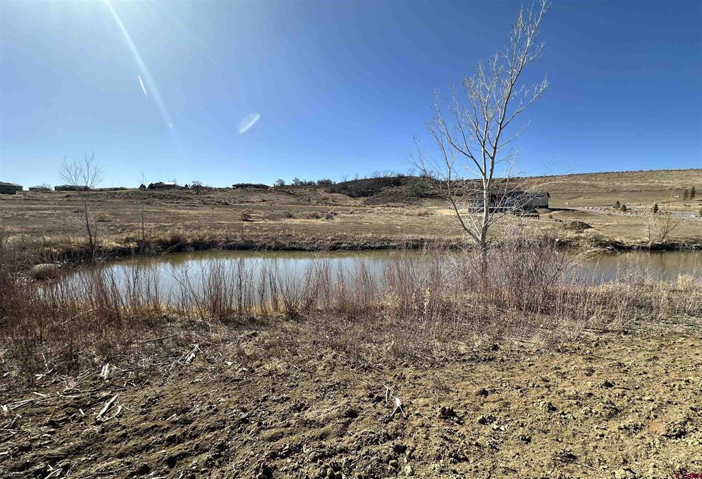 59440 Lone Eagle Road Montrose CO 81403