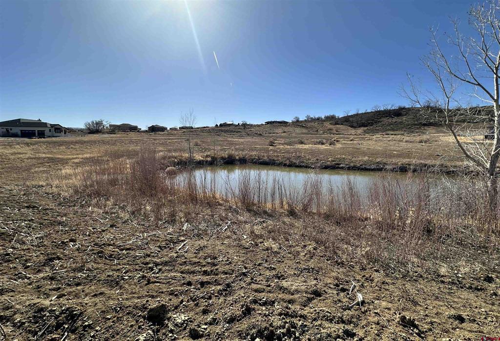 59440 Lone Eagle Road Montrose CO 81403