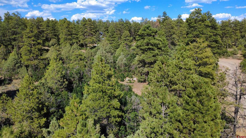 1824 Crooked Road Pagosa Springs CO 81147