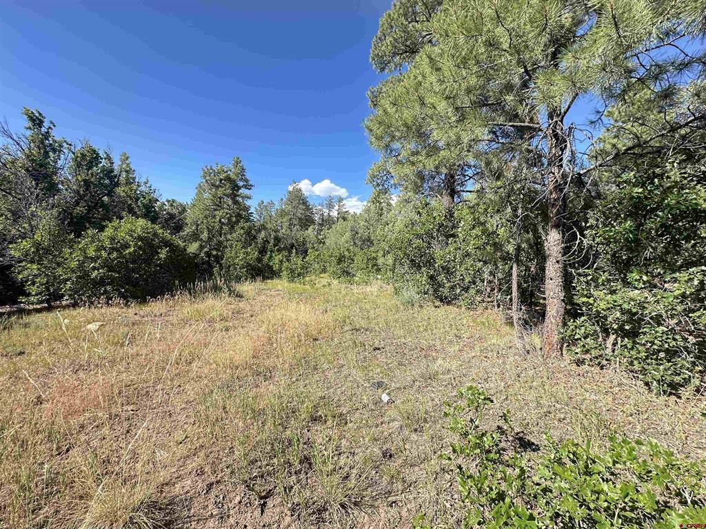 1824 Crooked Road Pagosa Springs CO 81147