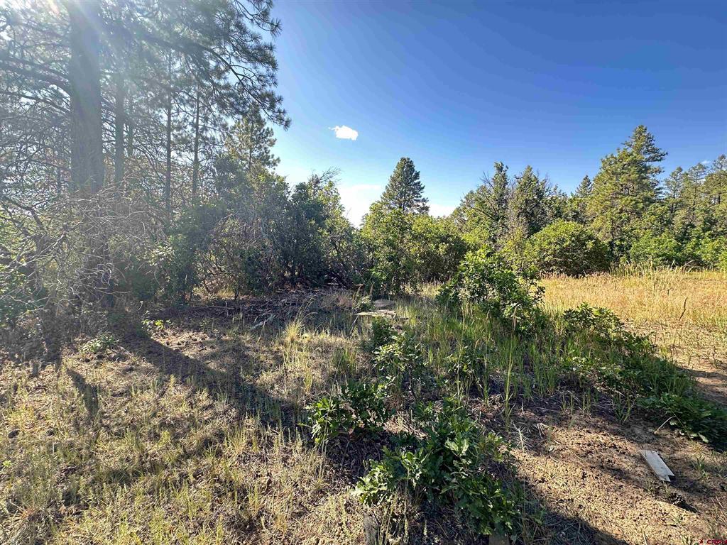 1824 Crooked Road Pagosa Springs CO 81147
