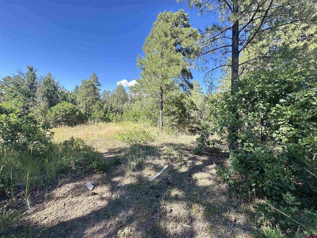 1824 Crooked Road Pagosa Springs CO 81147