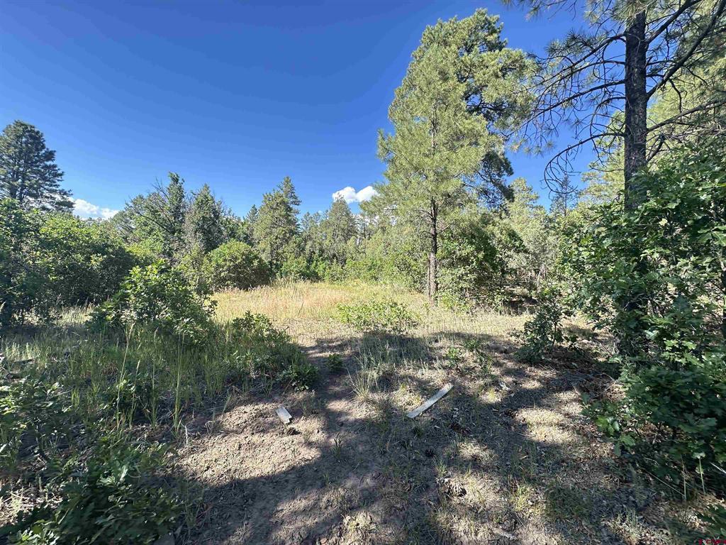 1824 Crooked Road Pagosa Springs CO 81147