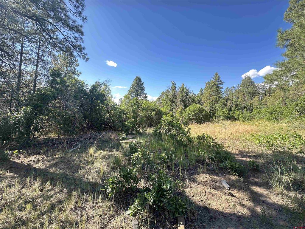 1824 Crooked Road Pagosa Springs CO 81147
