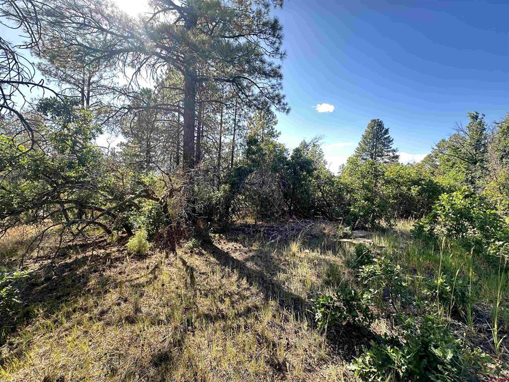 1824 Crooked Road Pagosa Springs CO 81147