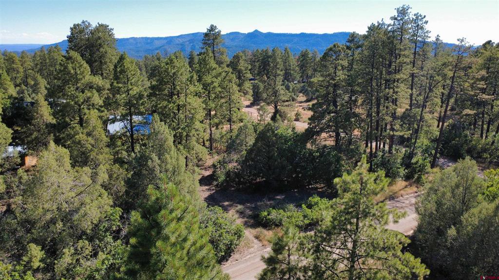 1824 Crooked Road Pagosa Springs CO 81147