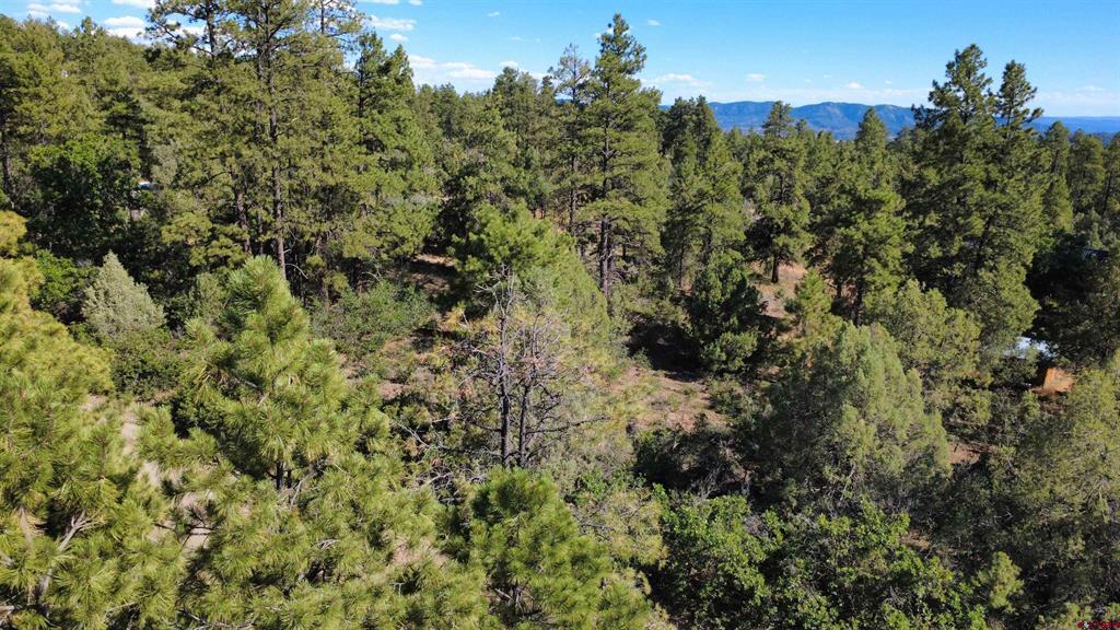 1824 Crooked Road Pagosa Springs CO 81147