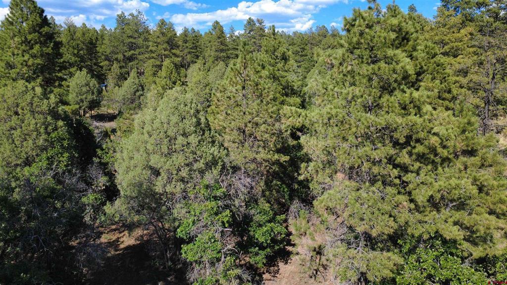1824 Crooked Road Pagosa Springs CO 81147
