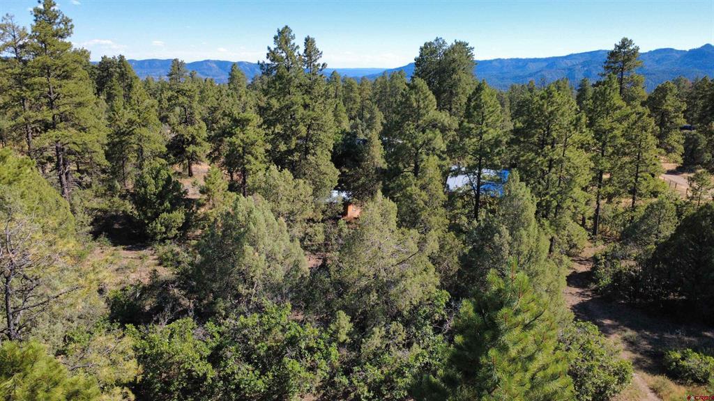 1824 Crooked Road Pagosa Springs CO 81147