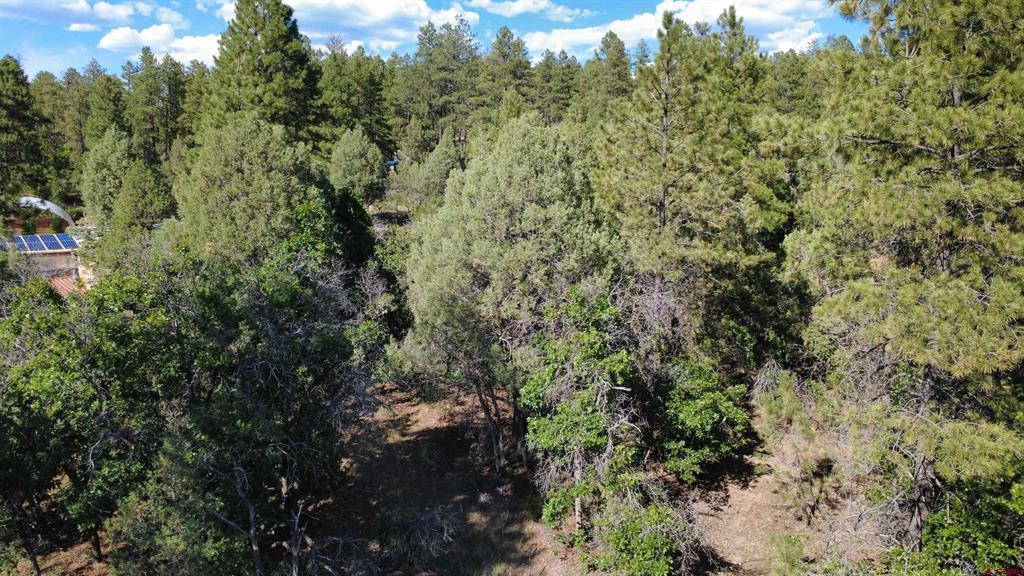 1824 Crooked Road Pagosa Springs CO 81147