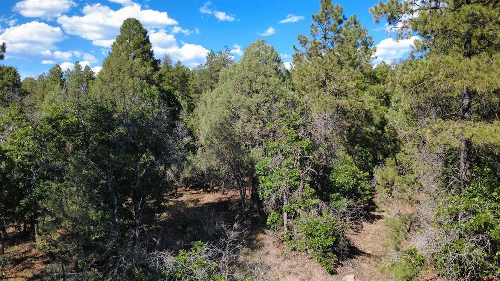 1824 Crooked Road Pagosa Springs CO 81147