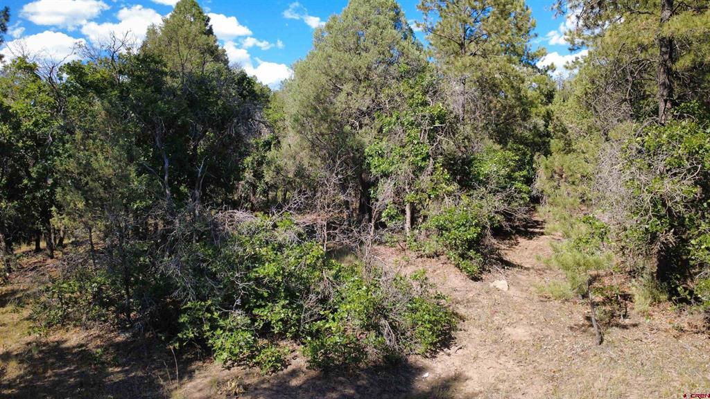 1824 Crooked Road Pagosa Springs CO 81147