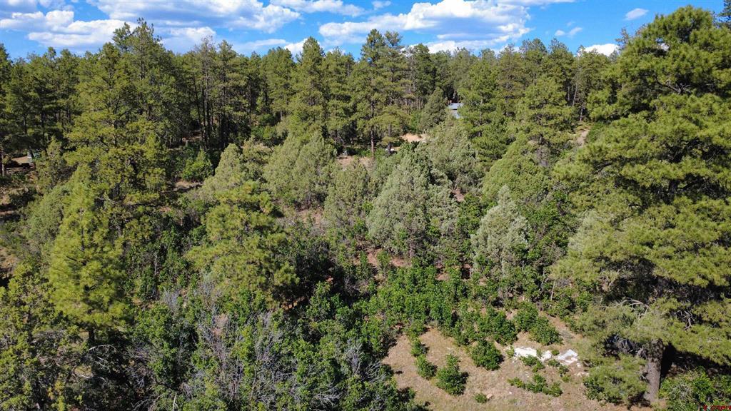 1824 Crooked Road Pagosa Springs CO 81147