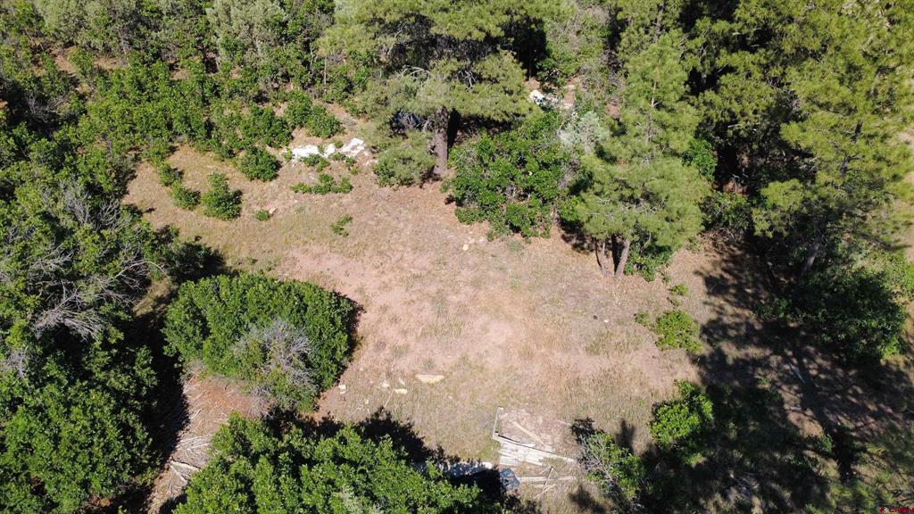 1824 Crooked Road Pagosa Springs CO 81147