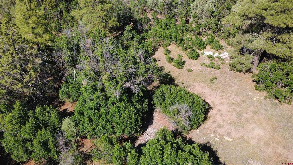 1824 Crooked Road Pagosa Springs CO 81147