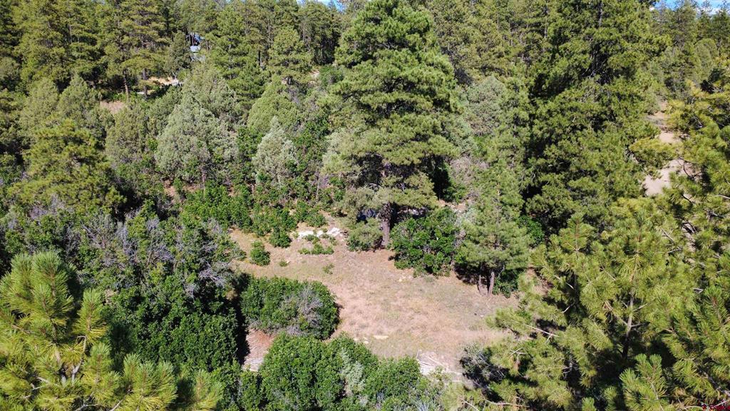1824 Crooked Road Pagosa Springs CO 81147