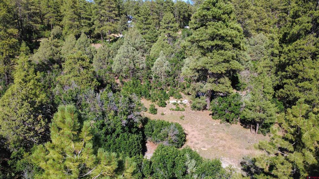 1824 Crooked Road Pagosa Springs CO 81147