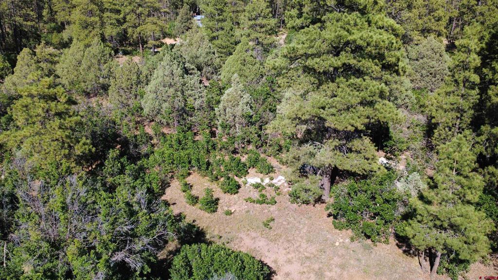 1824 Crooked Road Pagosa Springs CO 81147