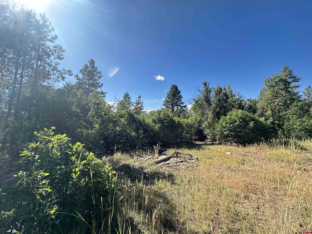 1824 Crooked Road Pagosa Springs CO 81147