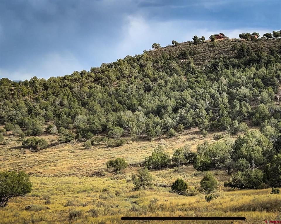 Tbd Road 35 Mancos CO 81328